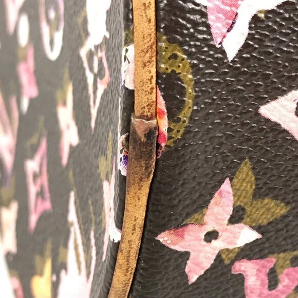 LOUIS VUITTON M95753 Monogram Watercolor Papillon30 Richard-Prince Hand Bag - Picture 14 of 16